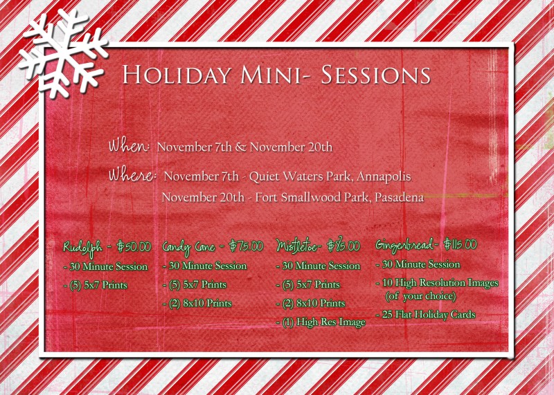 Christmas Mini Sessions | StaceyLee Photography, LLC